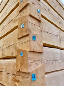 dovetail notch