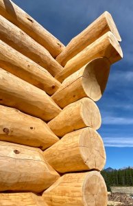 round log, full scribe